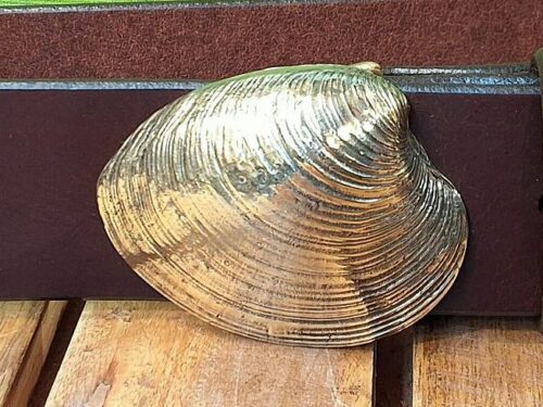 Artisan Handcrafted Quahog Shell Belt Buckle in Solid Brass Artisan Handcrafted Quahog Shell Belt Buckle in Solid Brass