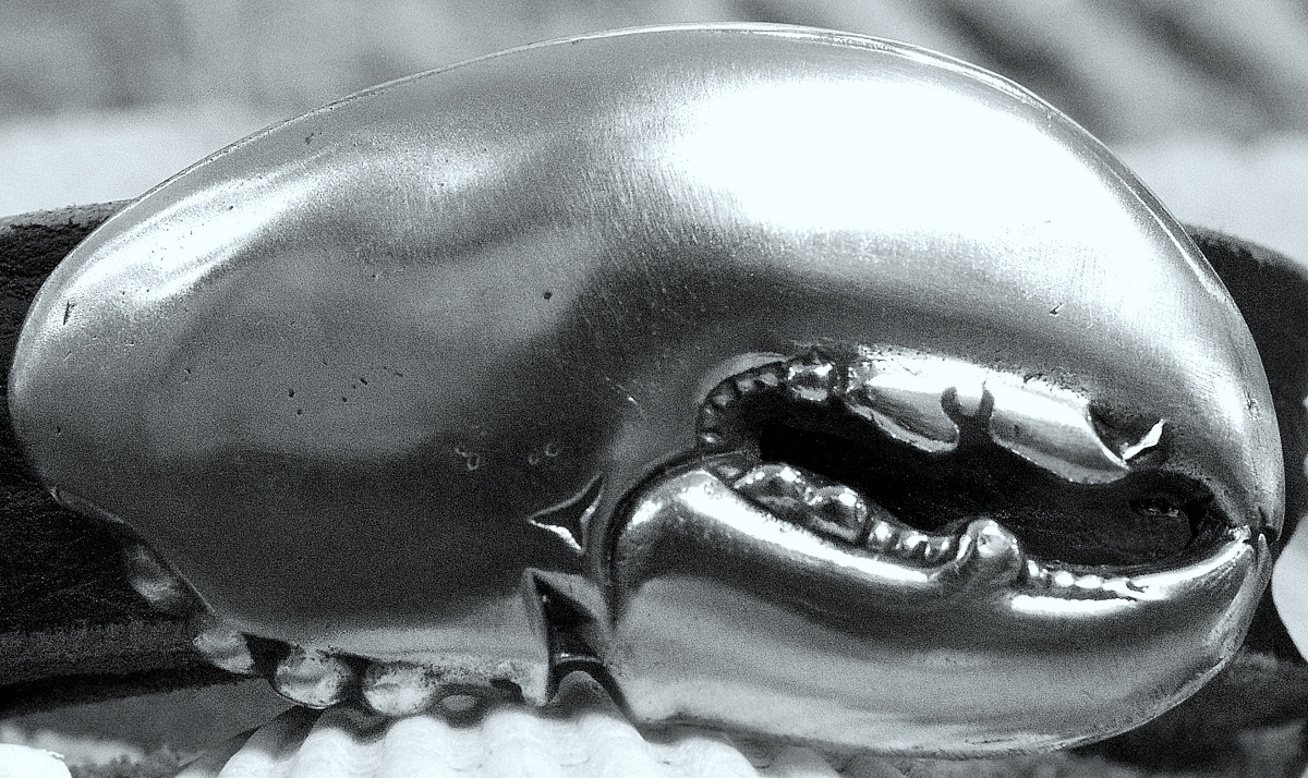 Artisan Handcrafted New England Lobster Crusher Claw Belt Buckle in White Bronze Silver