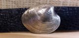 Quahog Buckle in White Bronze Silver