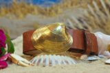 Quahog Shell Leather Belt in Solid Brass