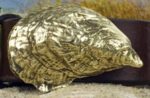 Chatham Oyster Shell Buckle in 1-1/4" Solid Brass