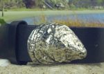 Cotuit Select Oyster Shell Leather Belt in White Bronze Silver
