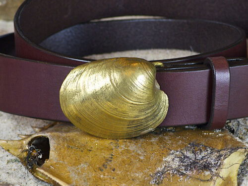 Quahog Shell Leather Belt on Chestnut in Solid Brass