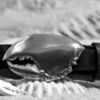 Lobster Pincher Claw Leather Belt in White Bronze Silver