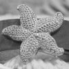 Starfish Buckle in White Bronze Silver