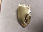 Lobster Pincher Claw Buckle in Solid Brass