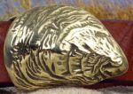 Wellfleet Oyster Shell Buckle in Solid Brass