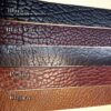 American Bison Leather Colors