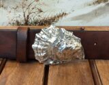 Barnstable Oyster Shell in Sterling Silver on Bomber Brown