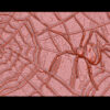 Black Widow Spider Web Leather Belt in Natural