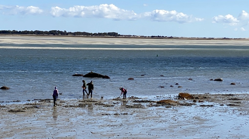 Oyster Shell Fishing
