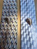 Oyster Shell Tie Pin in White Bronze Silver and Solid Brass
